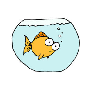 un poisson rouge