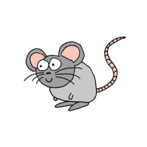 une souris