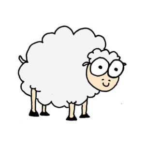 une mouton