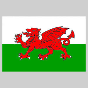 le drapeau du Pays de Galles