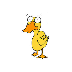 un canard