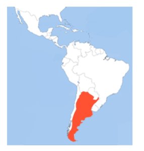 carte de l'Argentine