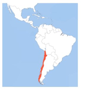 carte du Chili