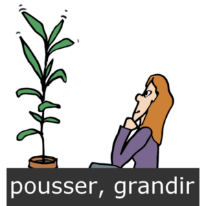 verbe pousser, grandir