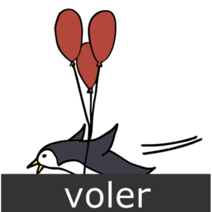 verbe voler (pour un oiseau, un avion)