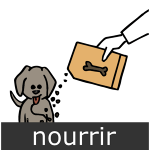 verbe nourrir (un chien par exemple)